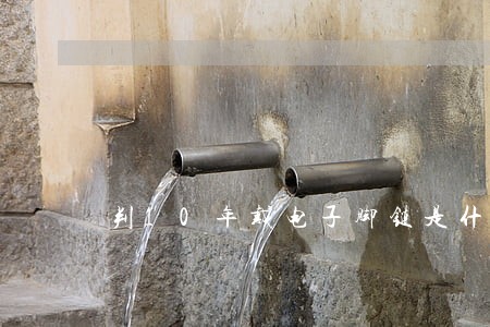 判10年戴电子脚链是什么刑法 判10年戴电子脚链是什么刑法