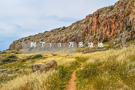 判了11万多给他