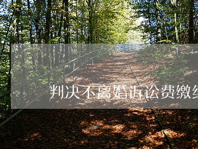 判决不离婚诉讼费缴纳标准 判决不离婚诉讼费缴纳标准