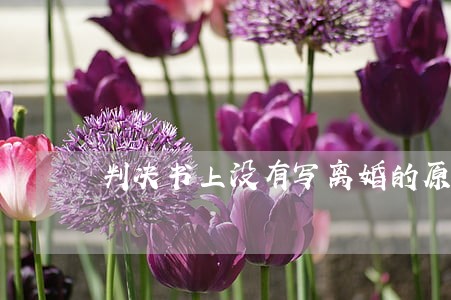 判决书上没有写离婚的原因 判决书上没有写离婚的原因