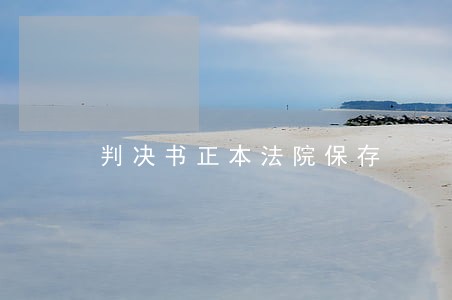 判决书正本法院保存 判决书正本法院保存