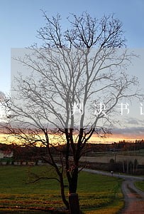 判决书让法院寄到户口派出所