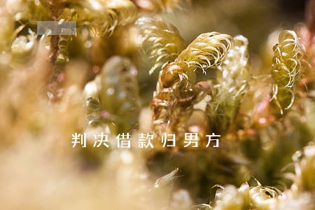 判决借款归男方