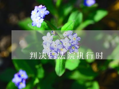 判决后法院执行时 判决后法院执行时