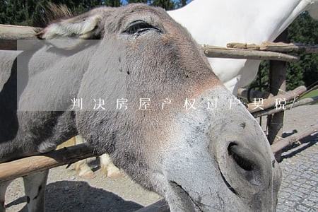 判决房屋产权过户契税