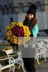 判决执行之日的司法解释 判决执行之日的司法解释