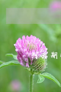 判决期间可以给法官打电话吗 判决期间可以给法官打电话吗