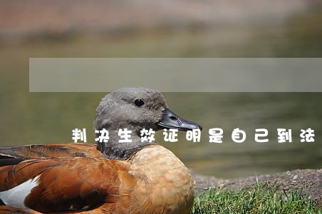 判决生效证明是自己到法院开吗 判决生效证明是自己到法院开吗