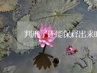 判刑了还能保释出来吗 判刑了还能保释出来吗