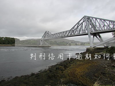 判刑信用卡逾期如何补救 判刑信用卡逾期如何补救