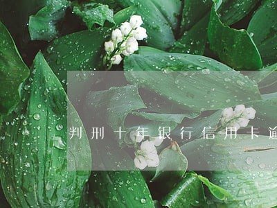 判刑十年银行信用卡逾期 判刑十年银行信用卡逾期
