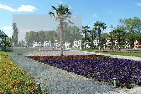判刑后逾期信用卡怎么办 判刑后逾期信用卡怎么办