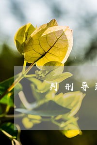 判刑导致信用卡逾期利息 判刑导致信用卡逾期利息