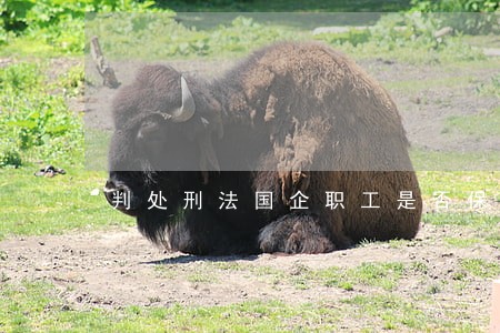 判处刑法国企职工是否保留公职 判处刑法国企职工是否保留公职
