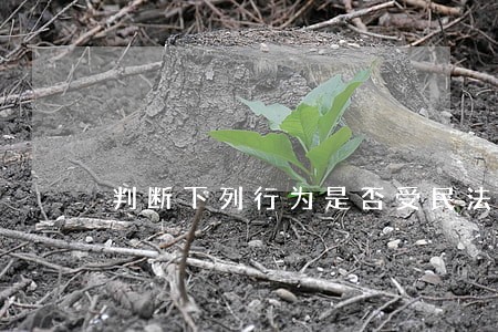 判断下列行为是否受民法调整 判断下列行为是否受民法调整