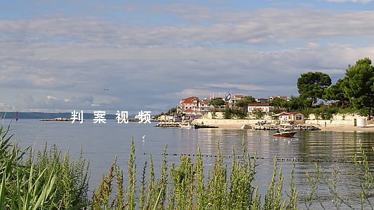 判案视频 判案视频