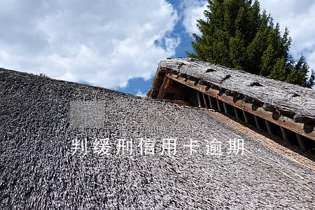 判缓刑信用卡逾期 判缓刑信用卡逾期