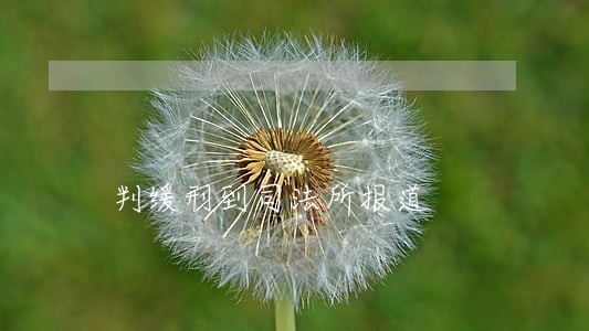 判缓刑到司法所报道 判缓刑到司法所报道