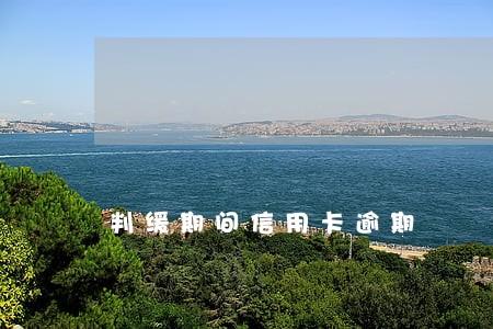 判缓期间信用卡逾期 判缓期间信用卡逾期