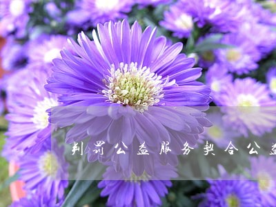 判罚公益服务契合公益诉讼本意 判罚公益服务契合公益诉讼本意