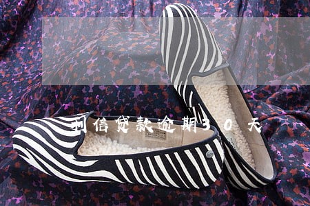 利信贷款逾期30天 利信贷款逾期30天