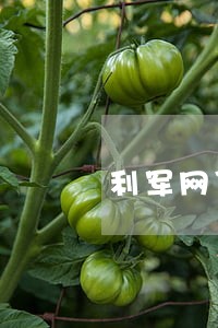 利军网贷逾期