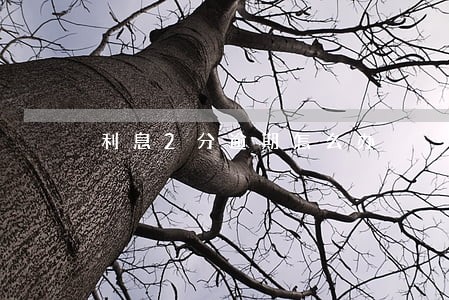 利息2分逾期怎么办 利息2分逾期怎么办