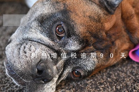 利息增值税逾期90天 利息增值税逾期90天