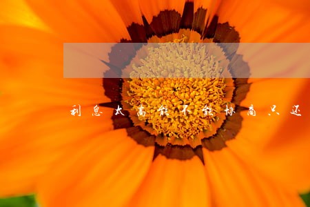 利息太高能不能协商只还本金
