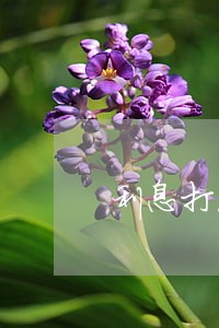 利息打法律的擦边球 利息打法律的擦边球
