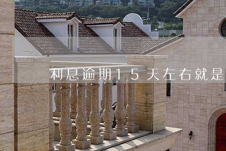 利息逾期15天左右就是黑名单吗 利息逾期15天左右就是黑名单吗