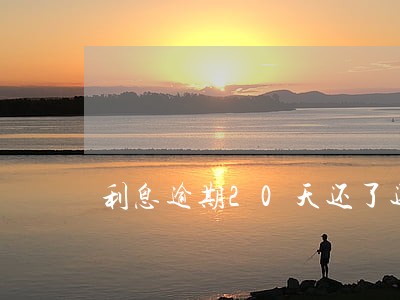 利息逾期20天还了还能再贷吗 利息逾期20天还了还能再贷吗
