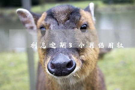 利息逾期3个月信用社