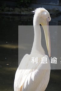 利息逾期6个月怎么办 利息逾期6个月怎么办