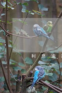 利息逾期90天怎么起算 利息逾期90天怎么起算