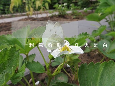 利息逾期90天是否 利息逾期90天是否