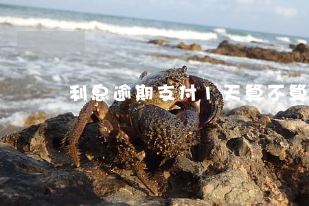 利息逾期支付1天算不算不良记录 利息逾期支付1天算不算不良记录