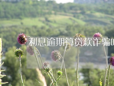 利息逾期算贷款诈骗吗 利息逾期算贷款诈骗吗