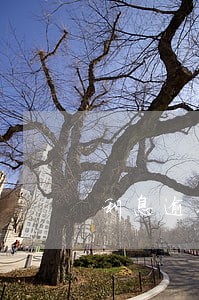 利息逾期贷款分析报告 利息逾期贷款分析报告