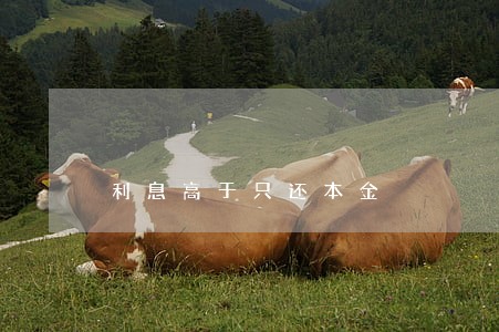 利息高于只还本金