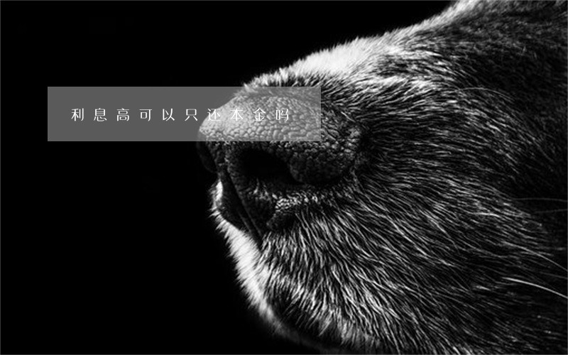 利息高可以只还本金吗