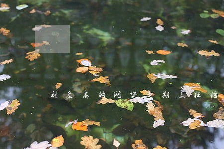 利息高的网贷逾期上征信吗 利息高的网贷逾期上征信吗