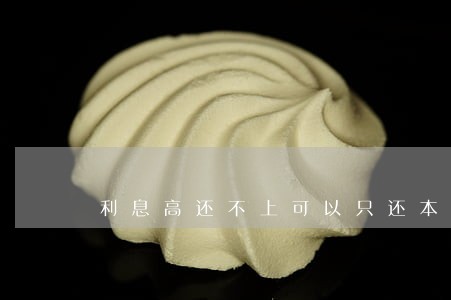 利息高还不上可以只还本金吗