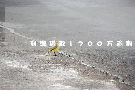 利源借款1700万逾期 利源借款1700万逾期