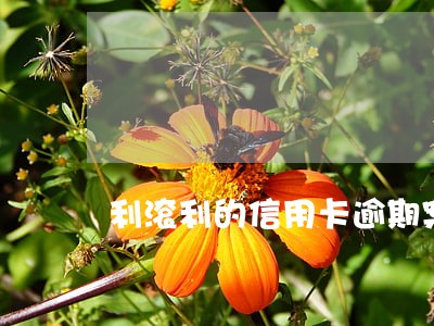 利滚利的信用卡逾期案例 利滚利的信用卡逾期案例