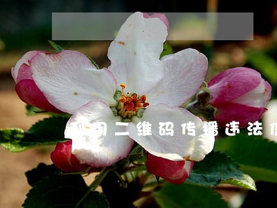 利用二维码传播违法信息
