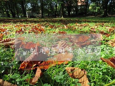 利用信用卡办理的贷款逾期