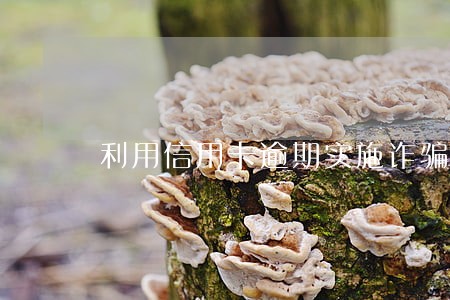 利用信用卡逾期实施诈骗 利用信用卡逾期实施诈骗