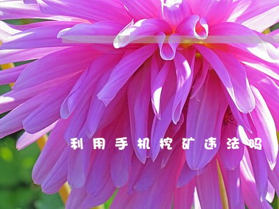 利用手机挖矿违法吗 利用手机挖矿违法吗