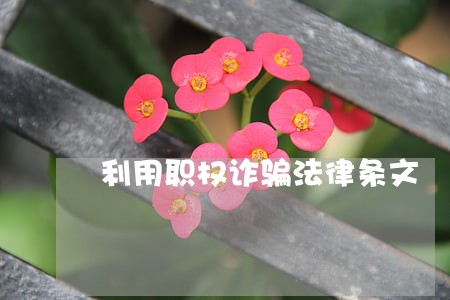 利用职权诈骗法律条文